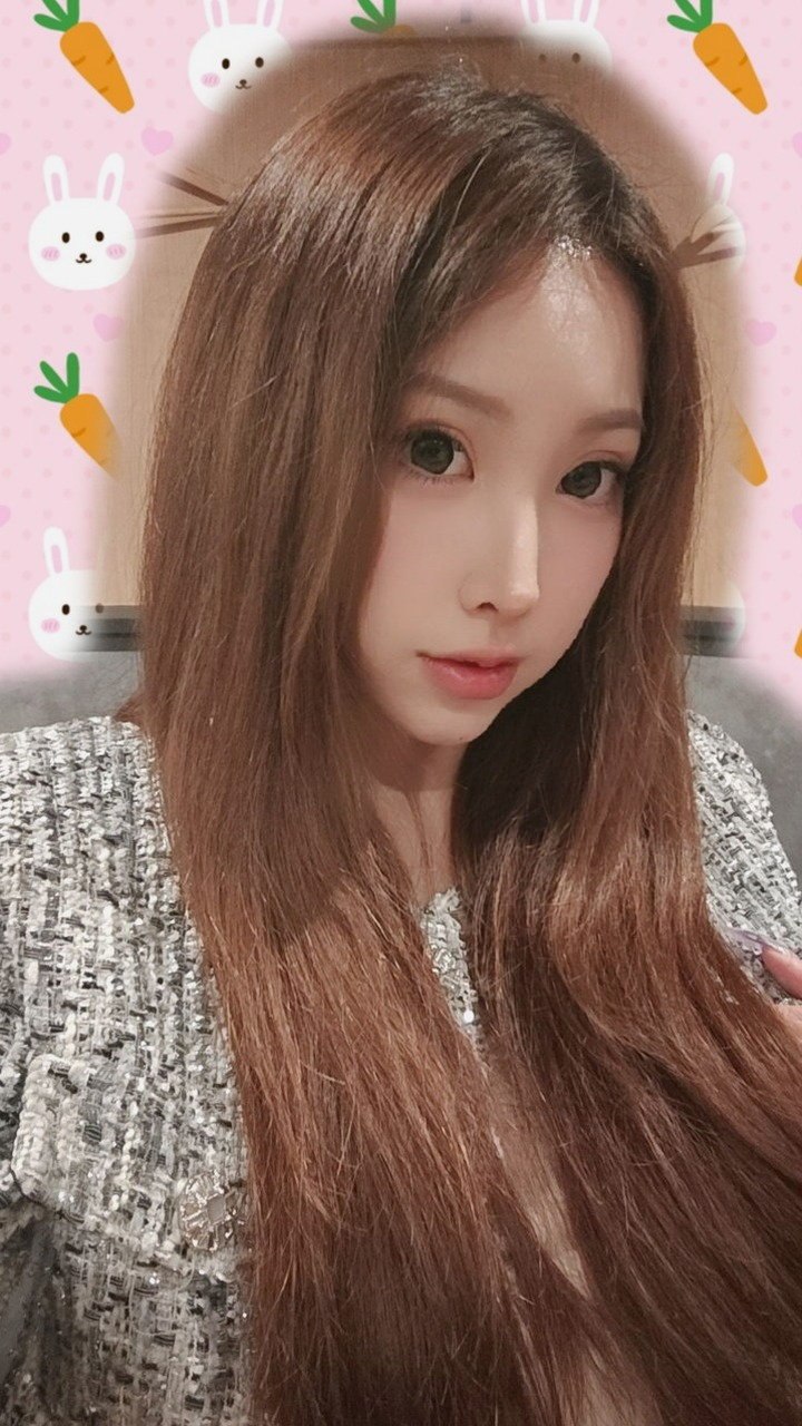 dodo