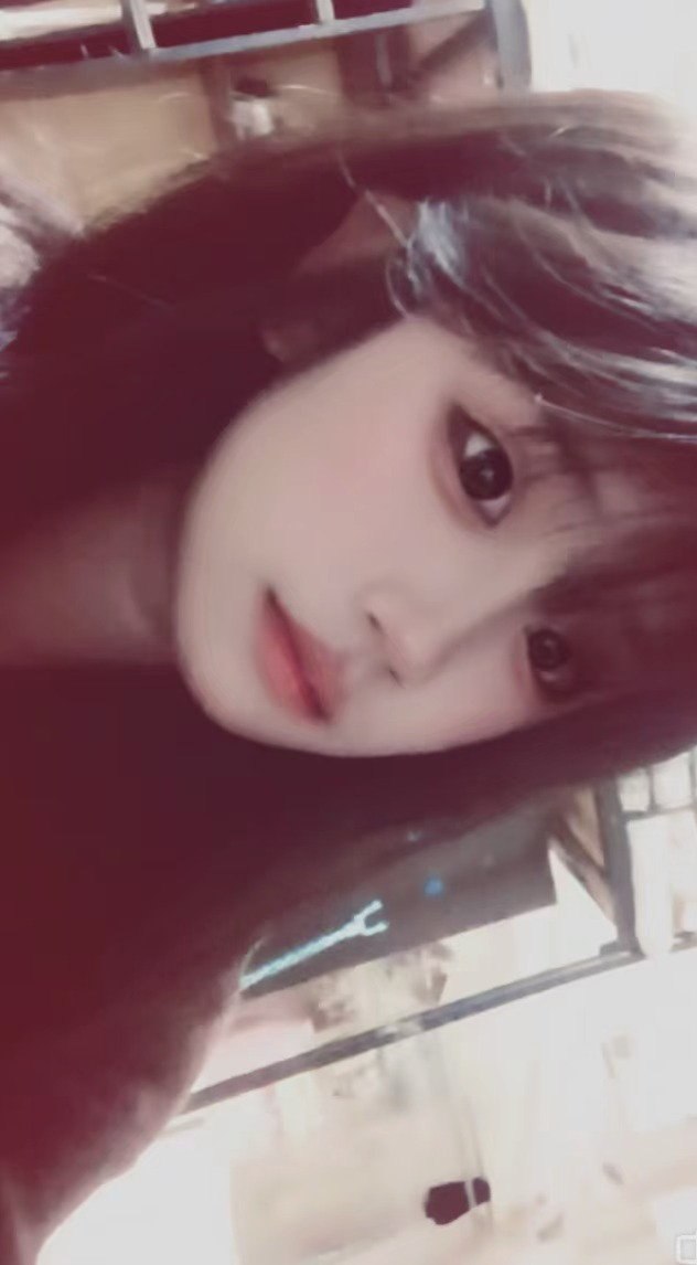 朴朴村长196