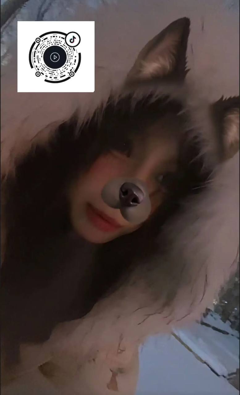迪丽