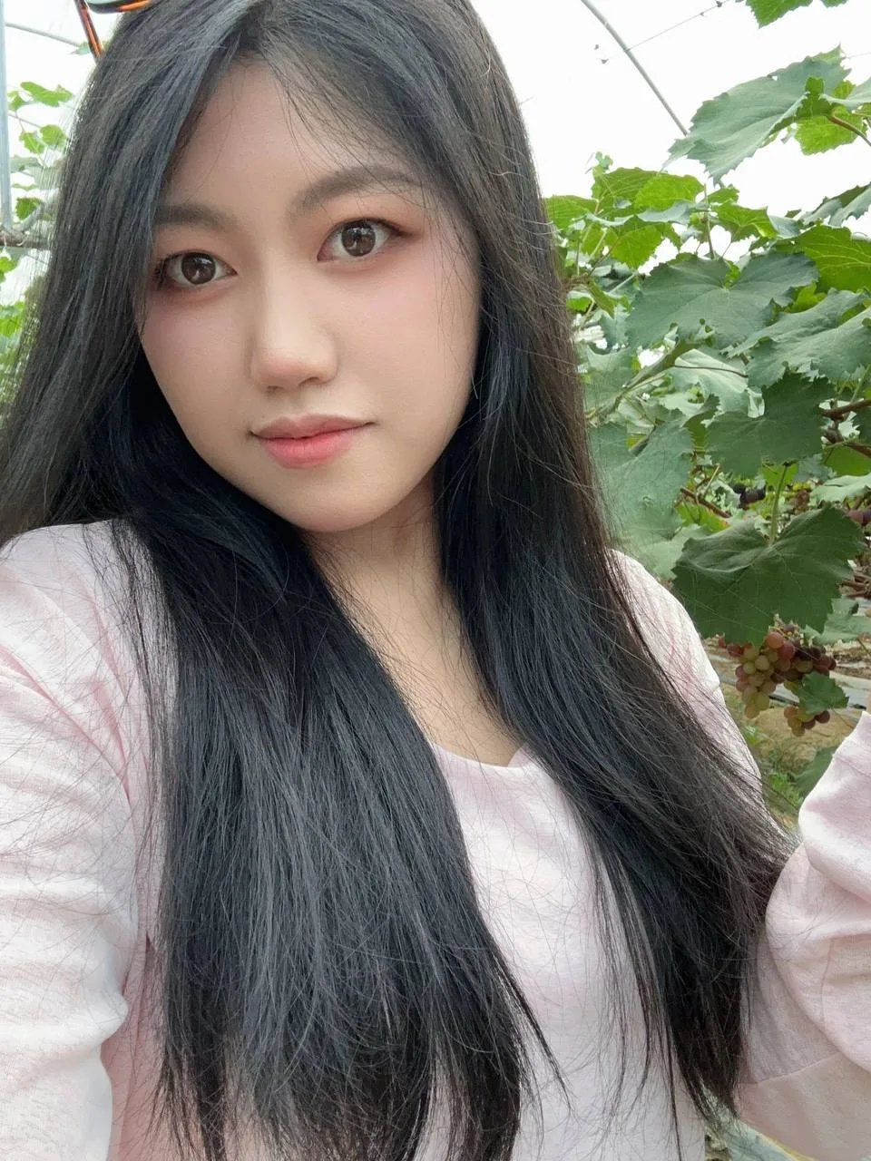 验证视频封面