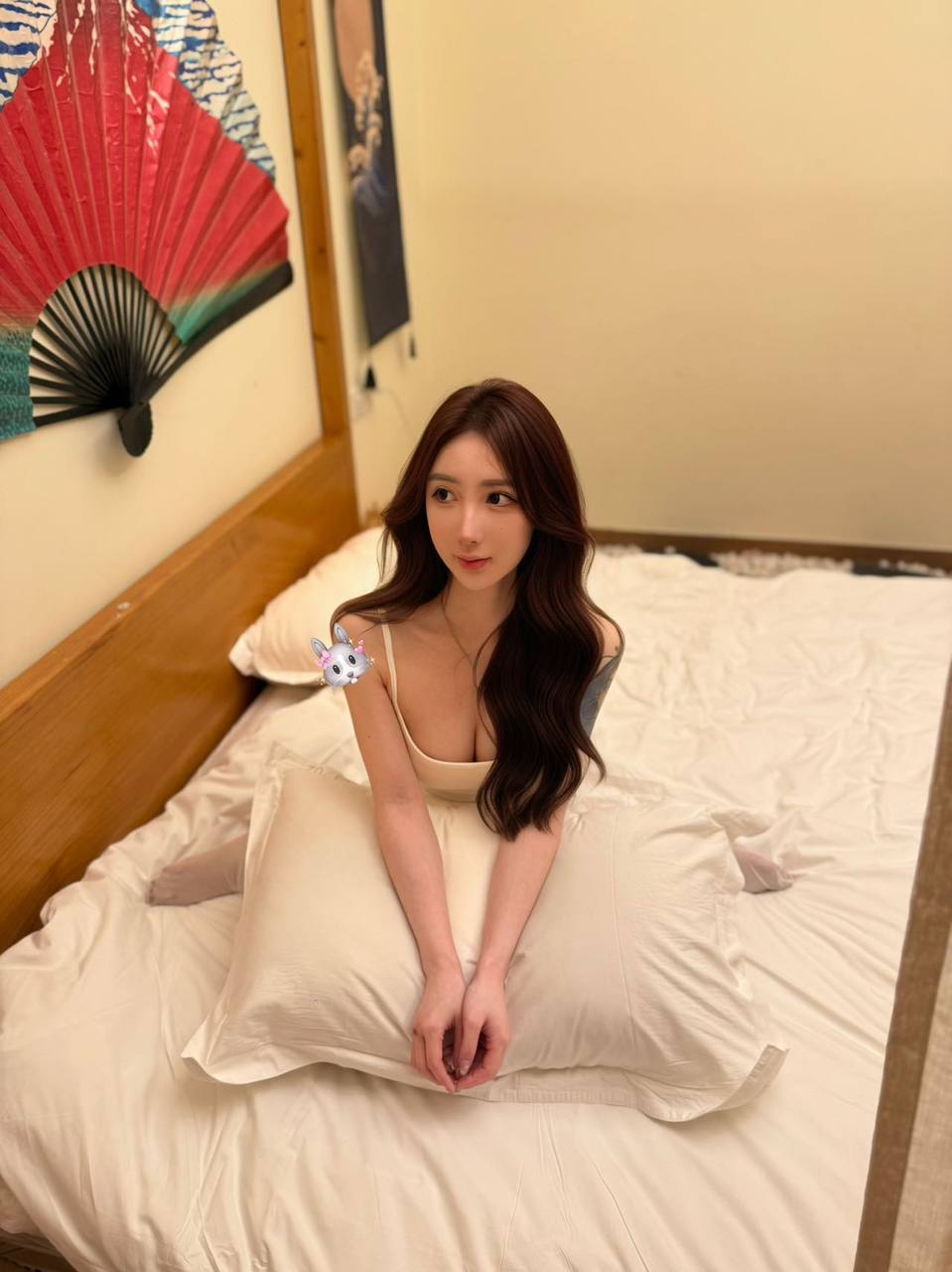 兔兔