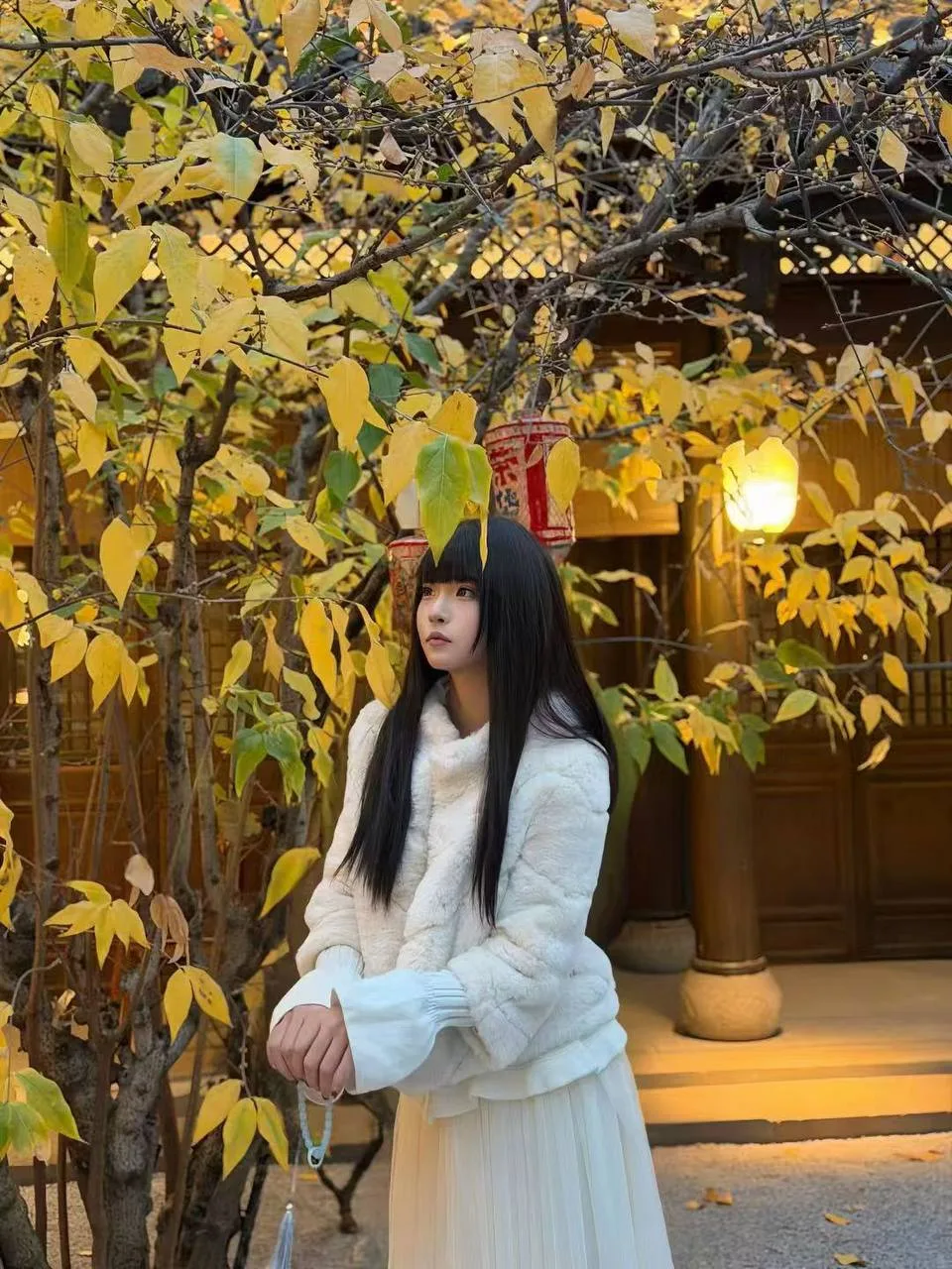 验证视频封面