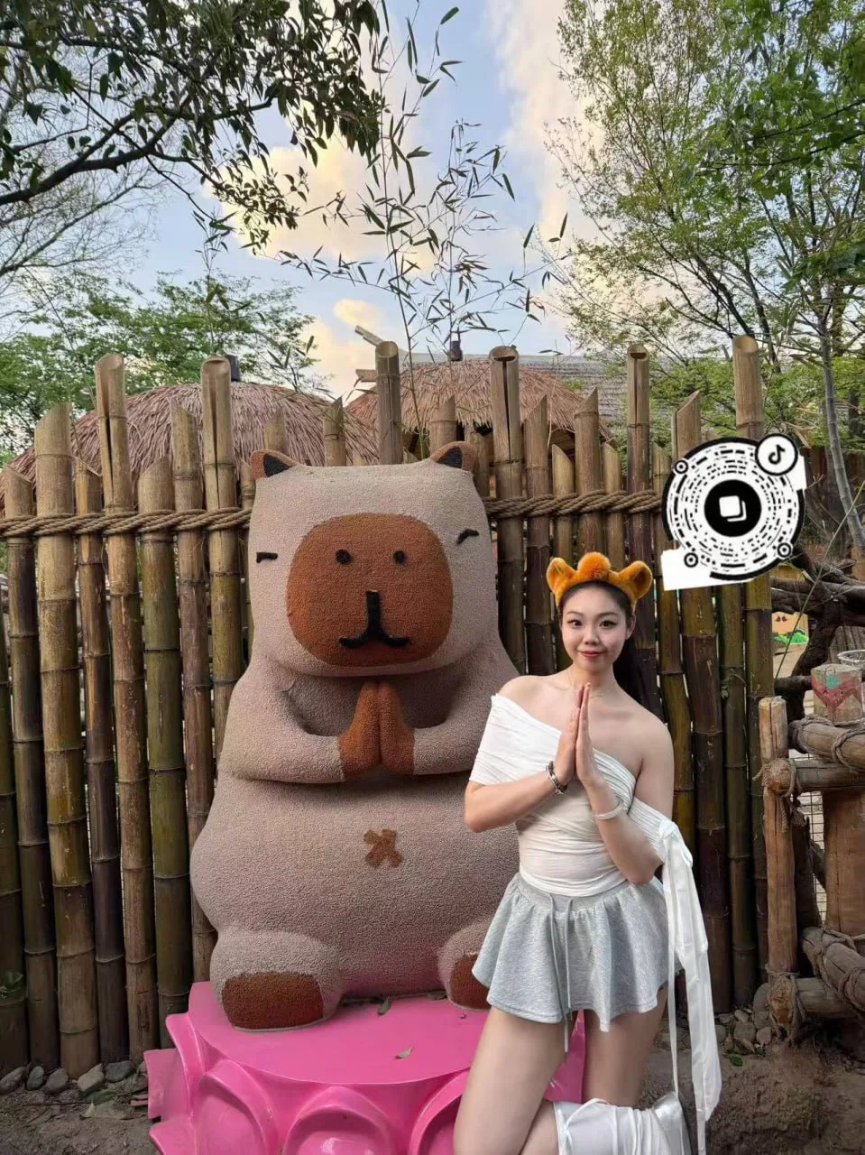 验证视频封面