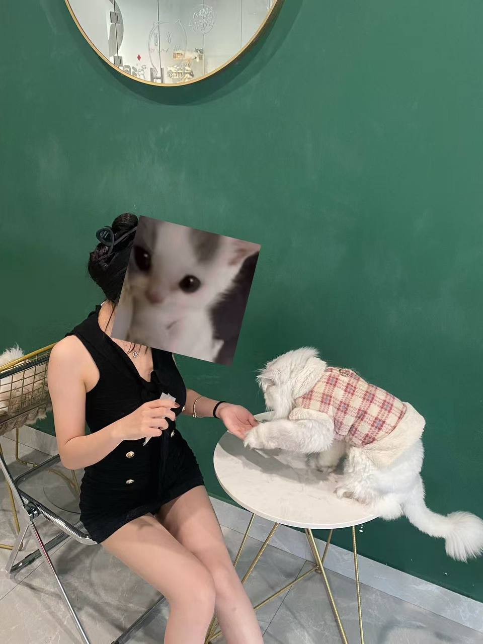 婷婷