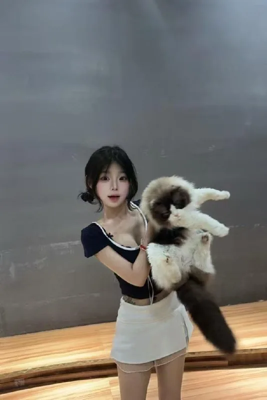 验证视频封面
