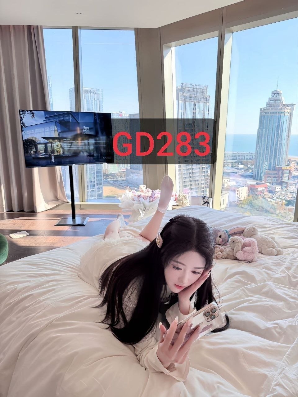GD283