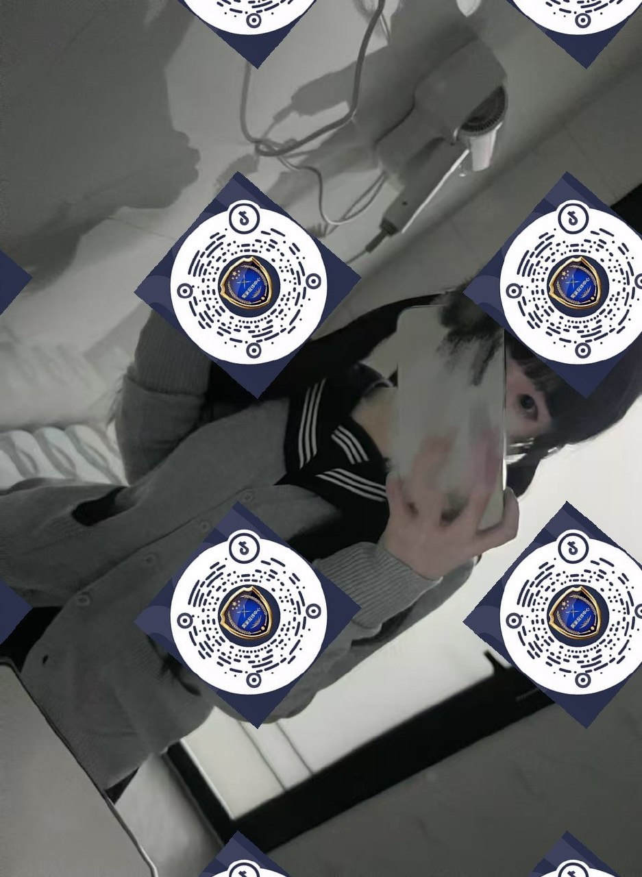 朴朴村长233