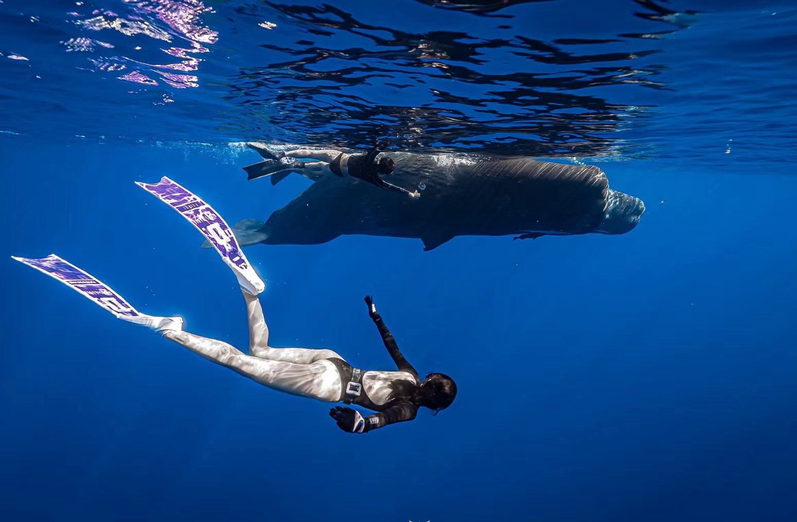 孤岛（龙）017