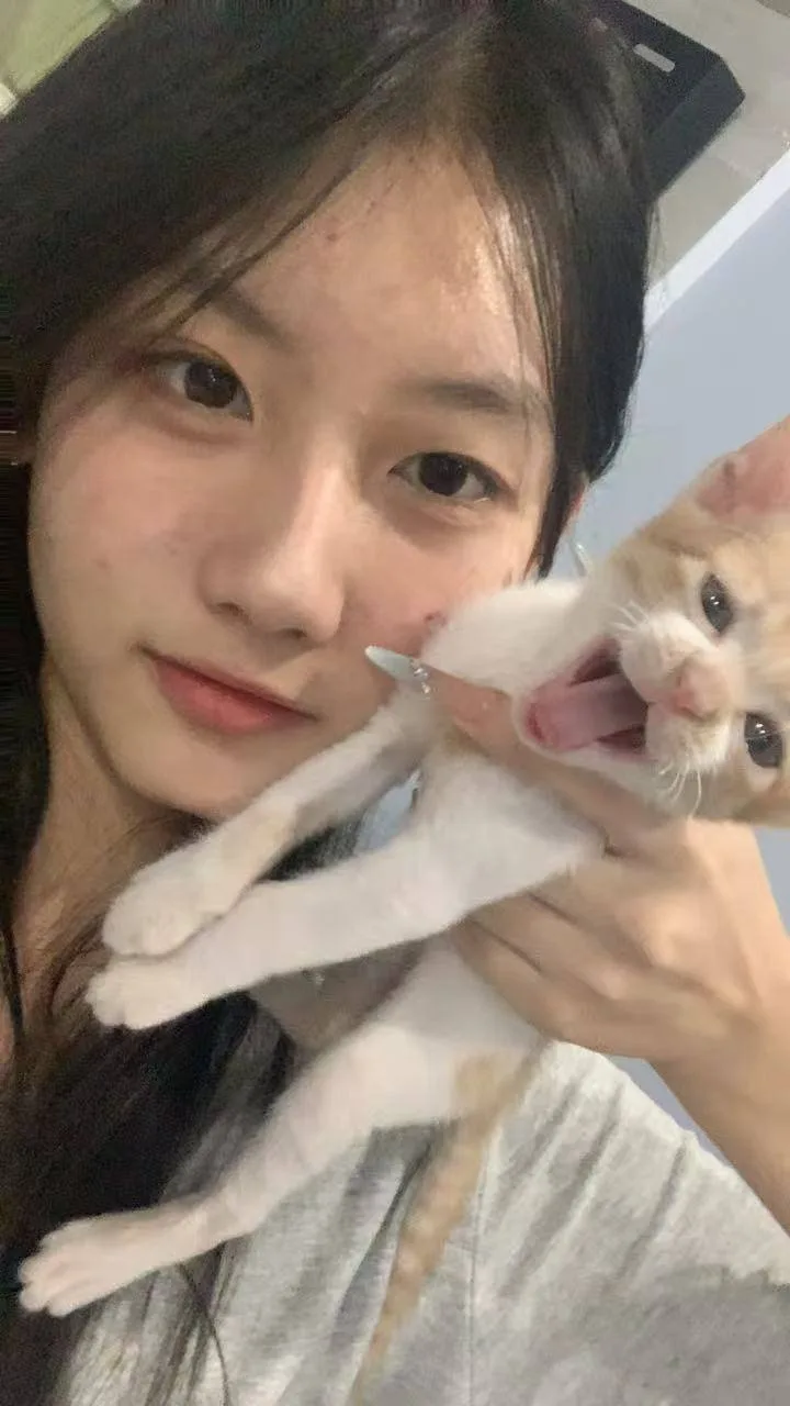 验证视频封面
