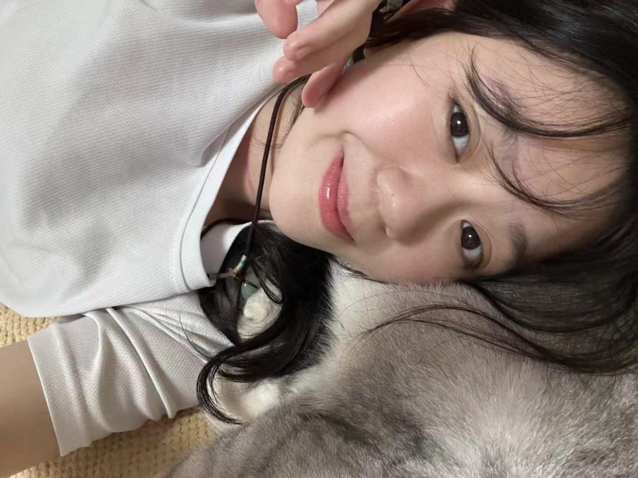小猫咪