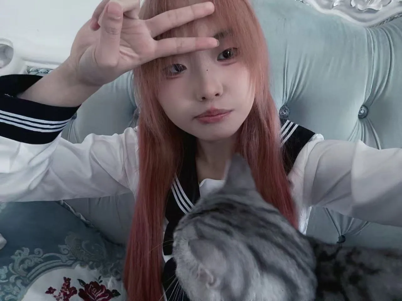 验证视频封面