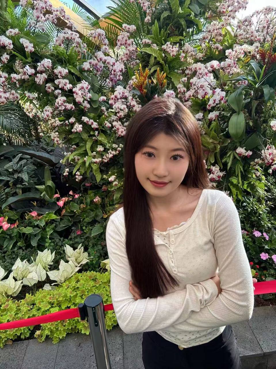 欧欧
