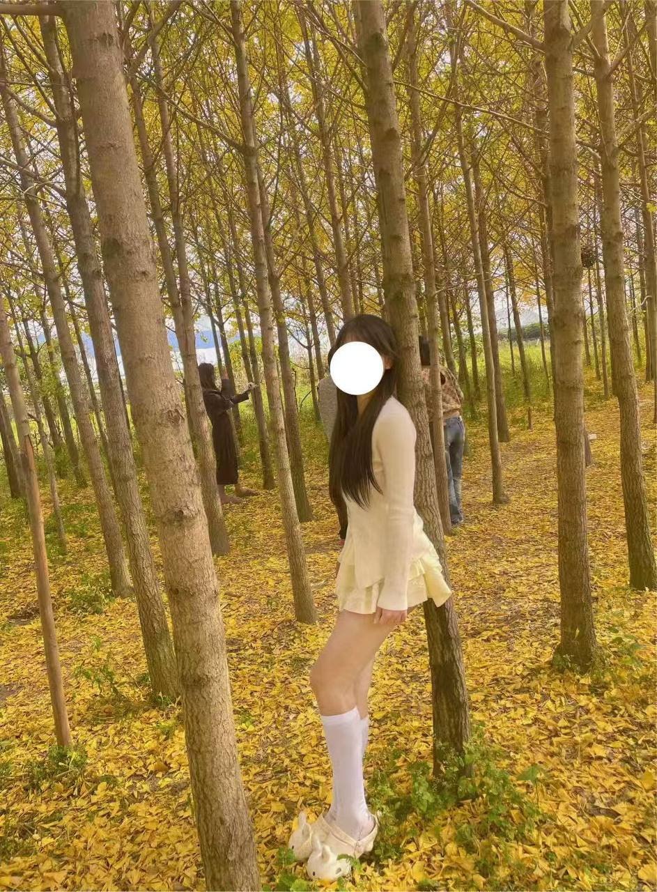 朴朴641