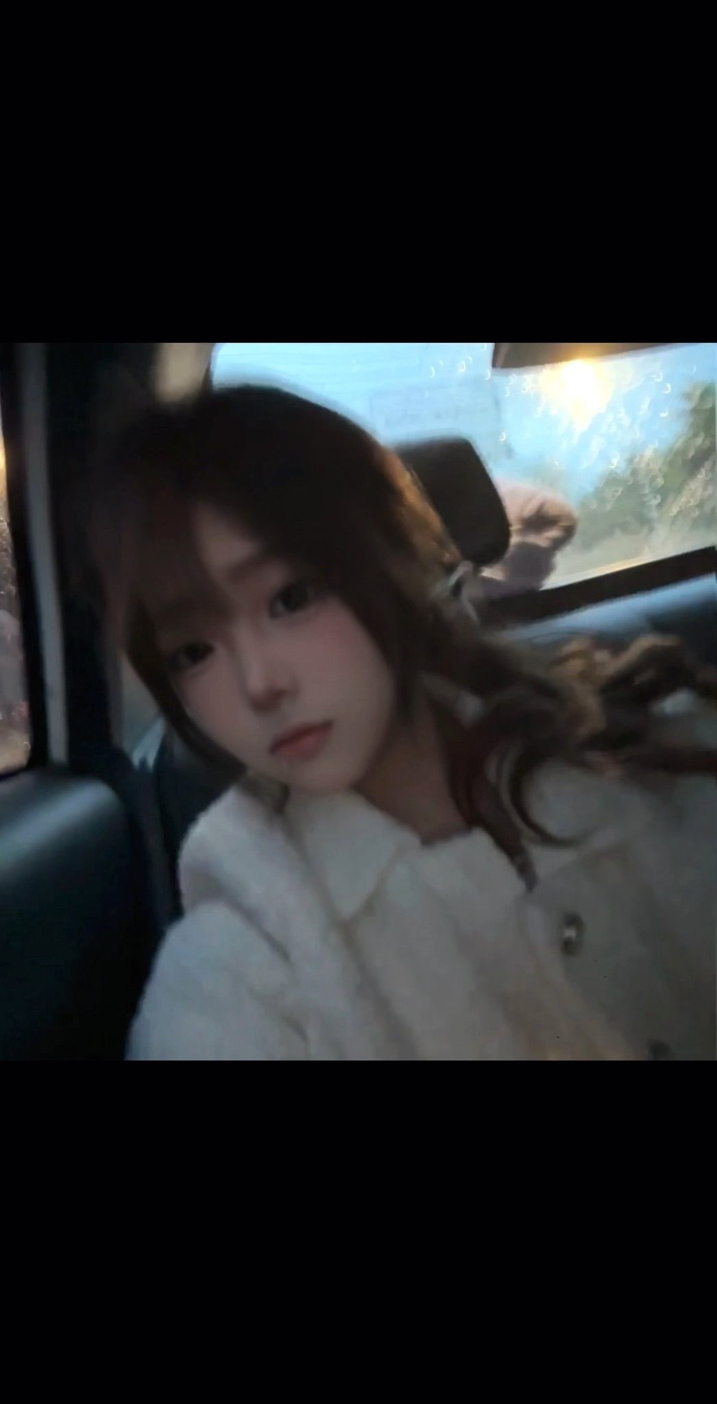 TY-C049
