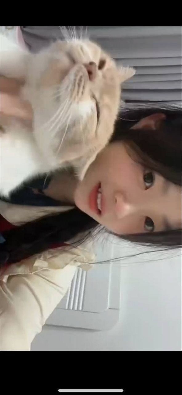 朴朴村长044