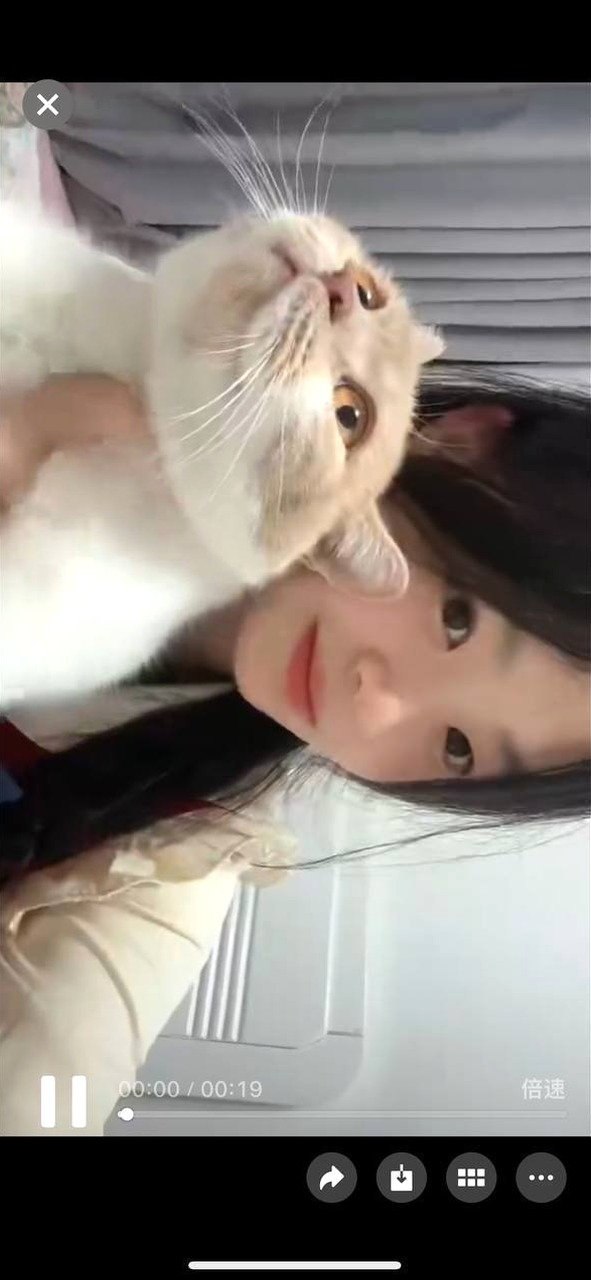 朴朴村长044