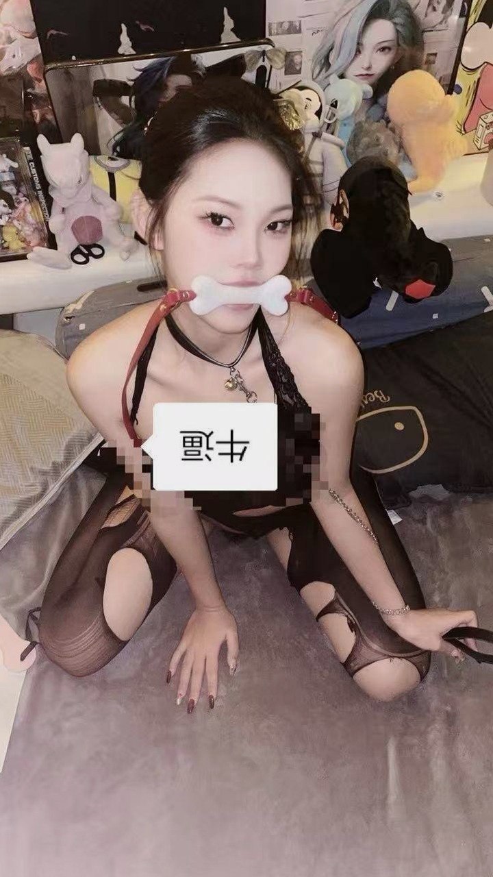 孤岛C003