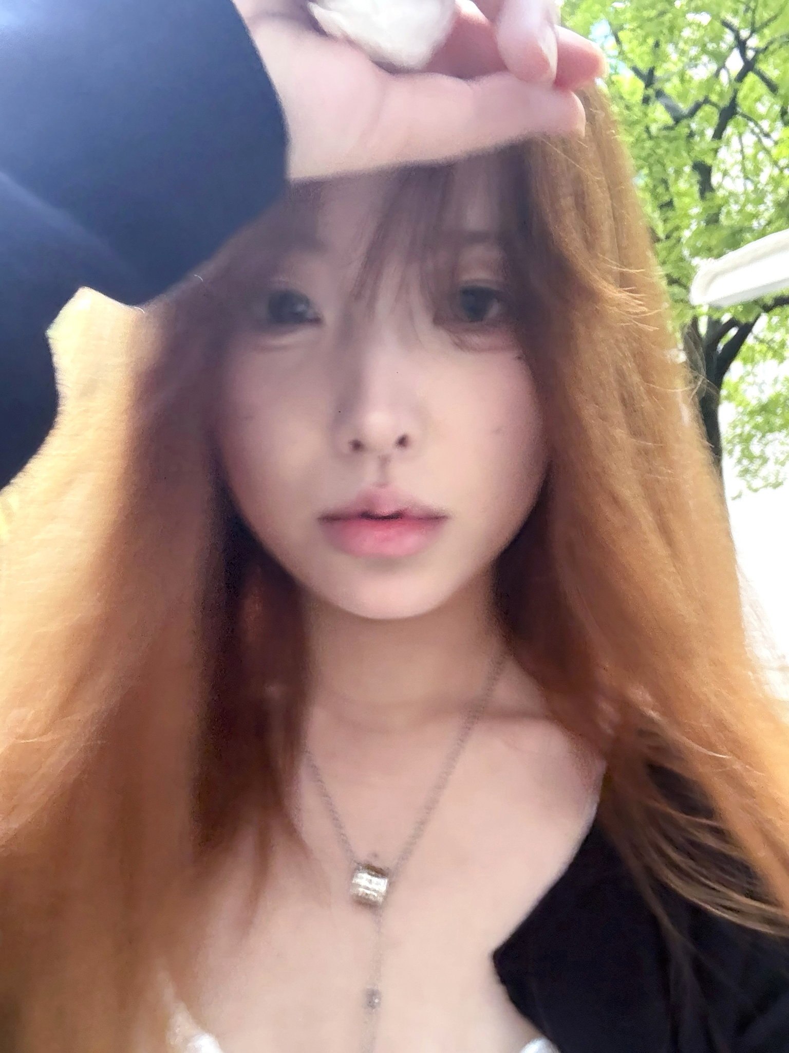 李逍遥九3016