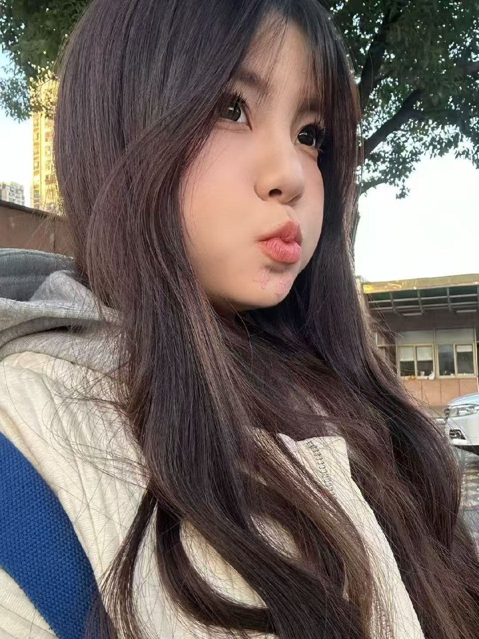 cc