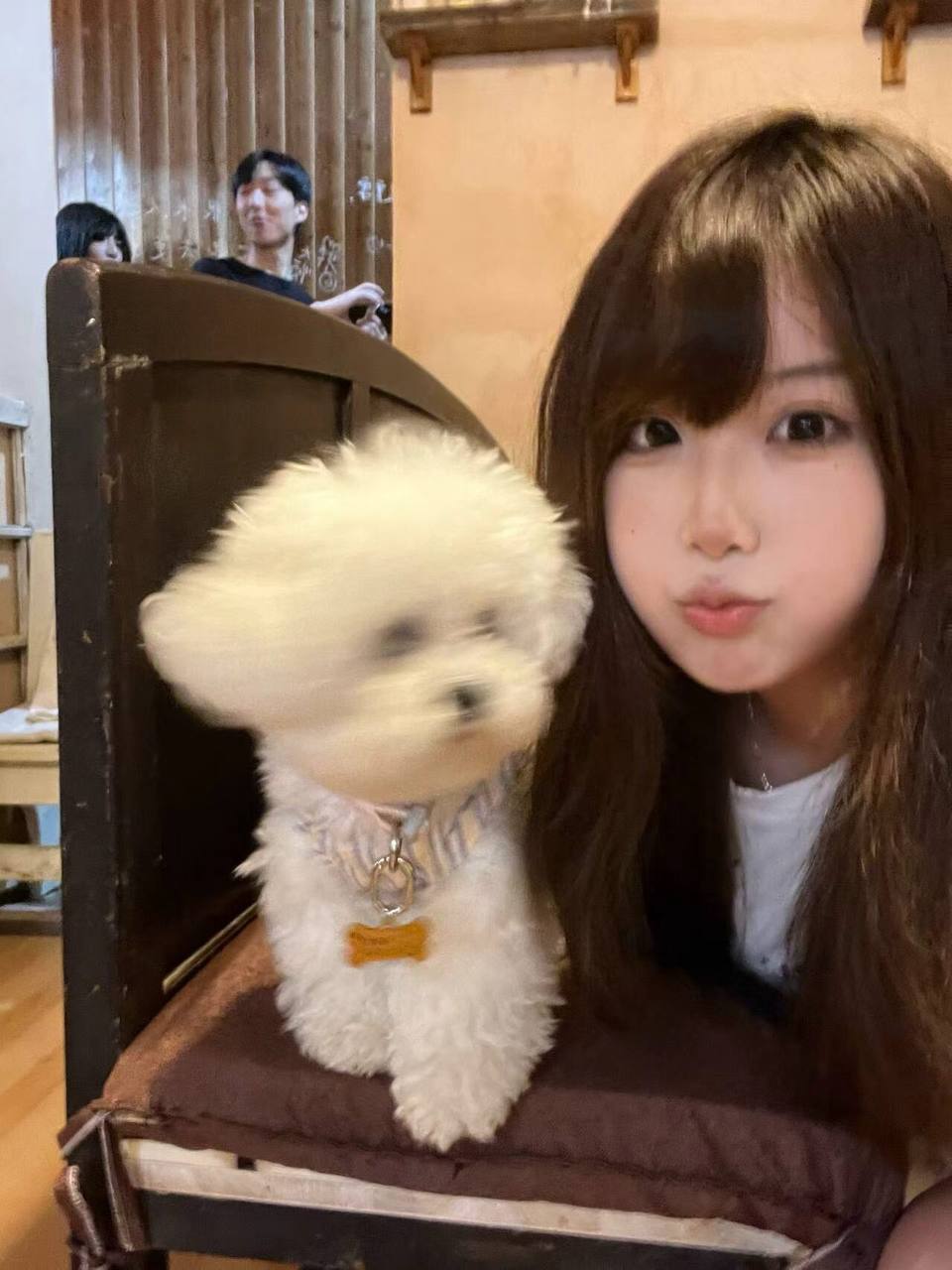小鱼