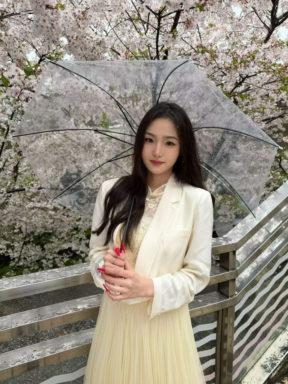 小兔大王bb