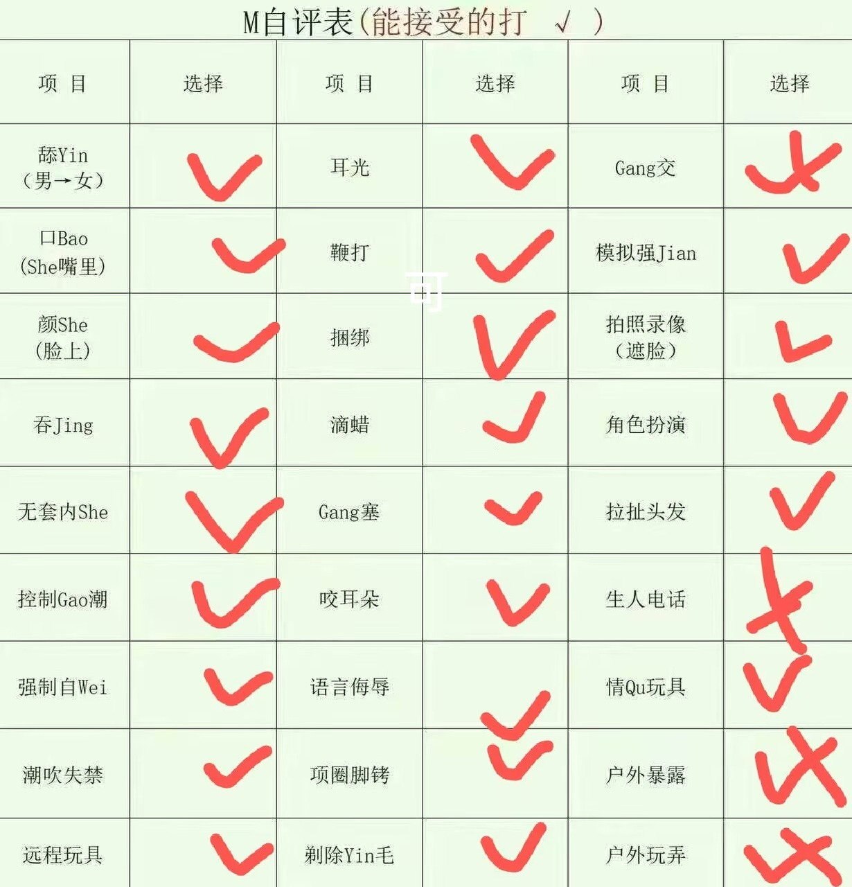 朴朴TC022