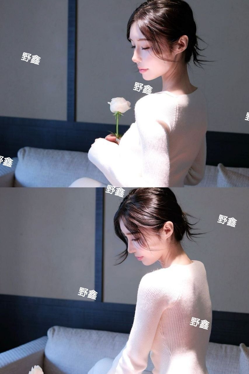 野芯