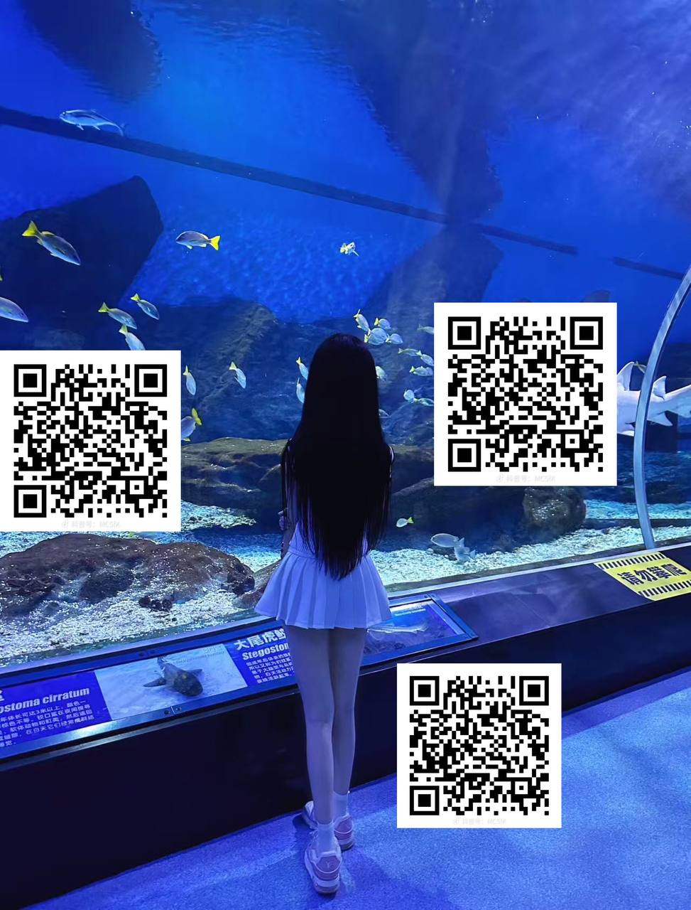 小梨