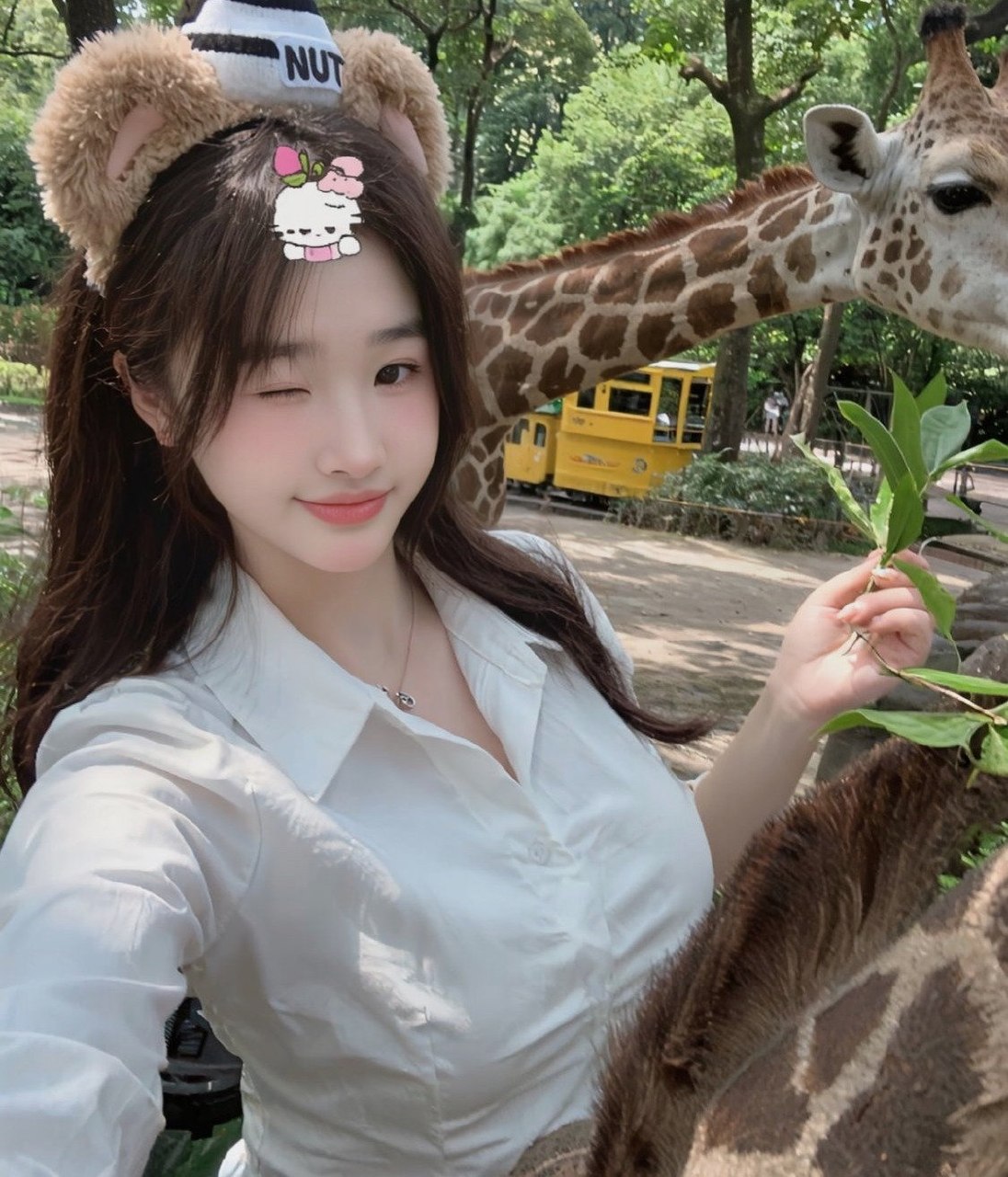 瑶