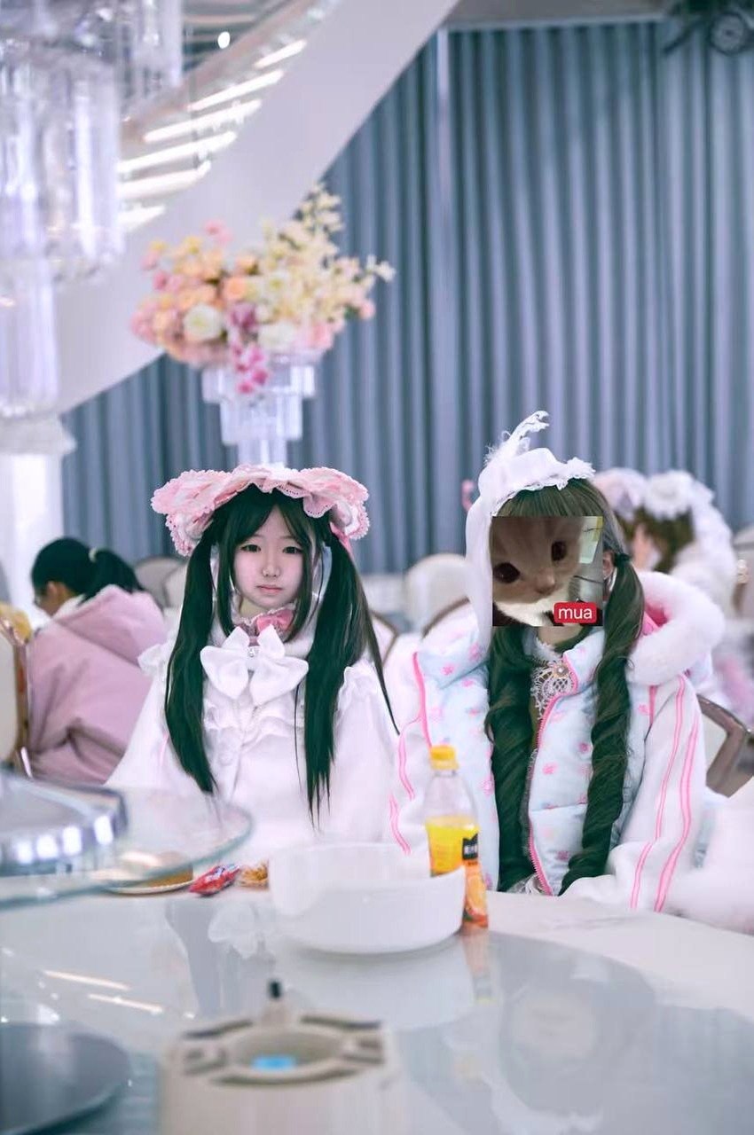 朴朴356
