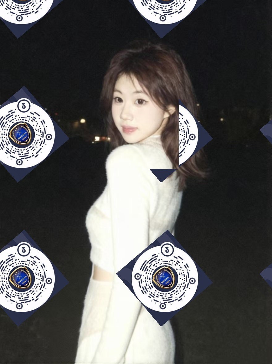 朴朴村长242