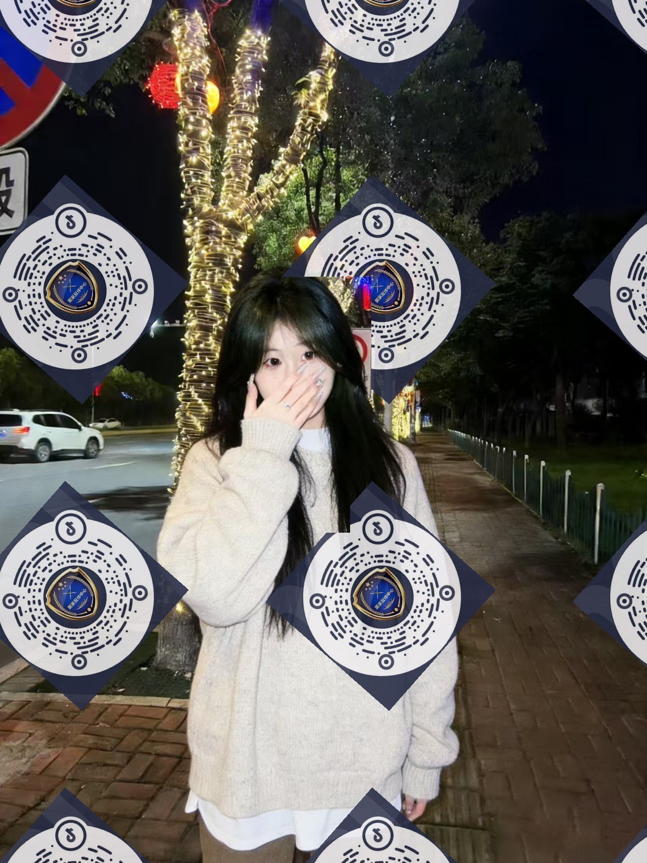 朴朴村长242