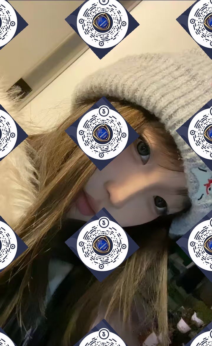朴朴村长223