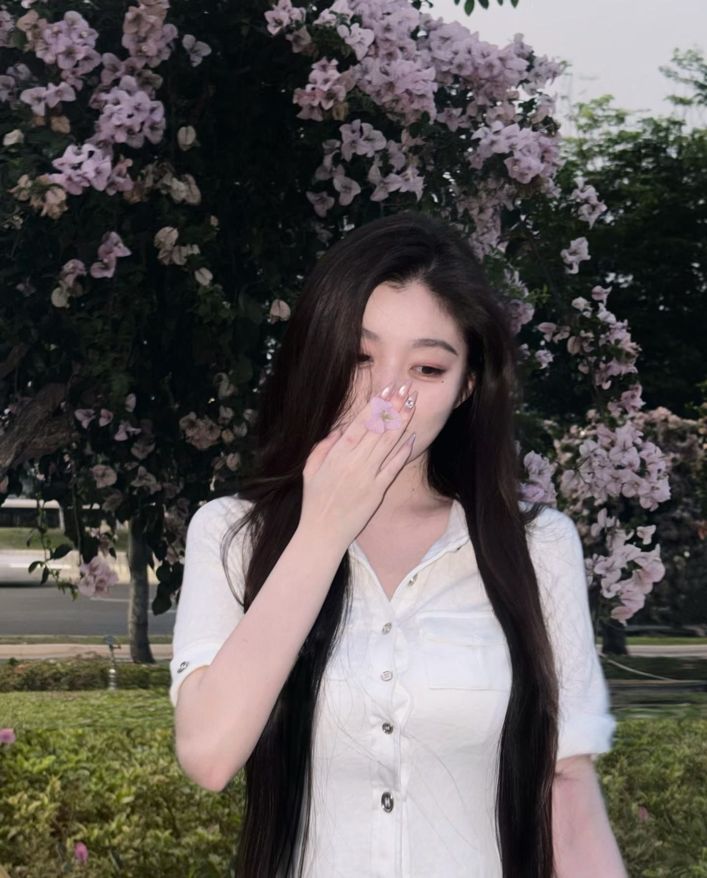 朴朴村长243