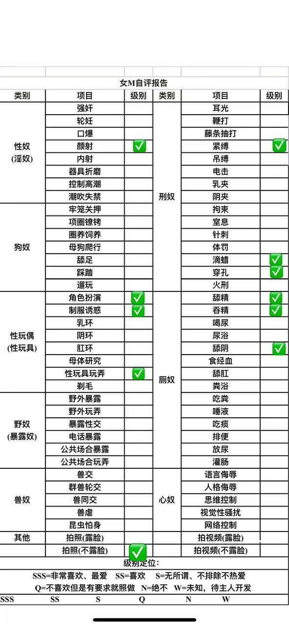 伴友 P22