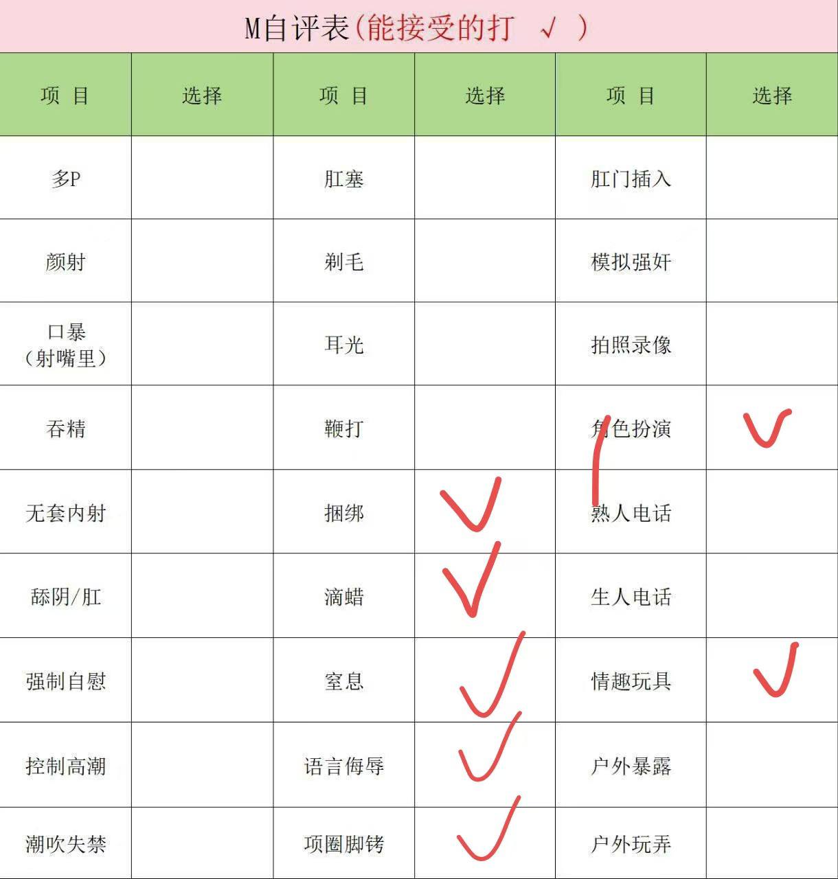 伴友 P63