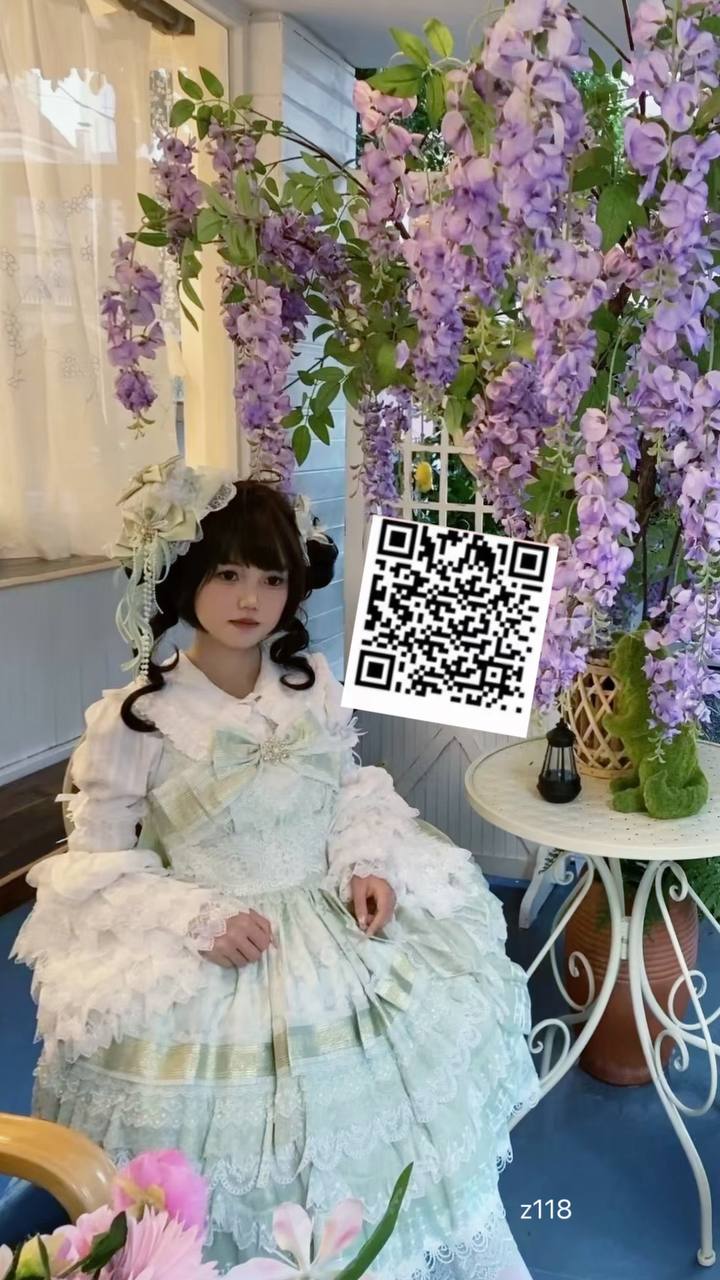 伴友 Z118