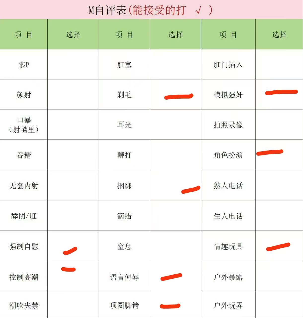 伴友 Z118