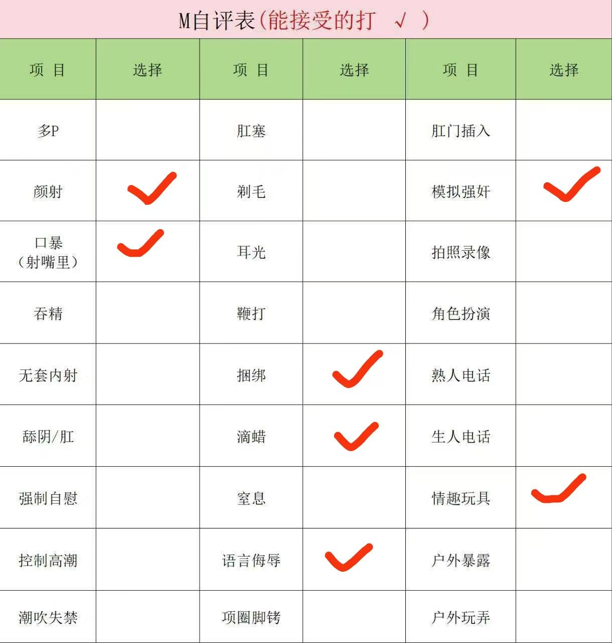 伴友 P95