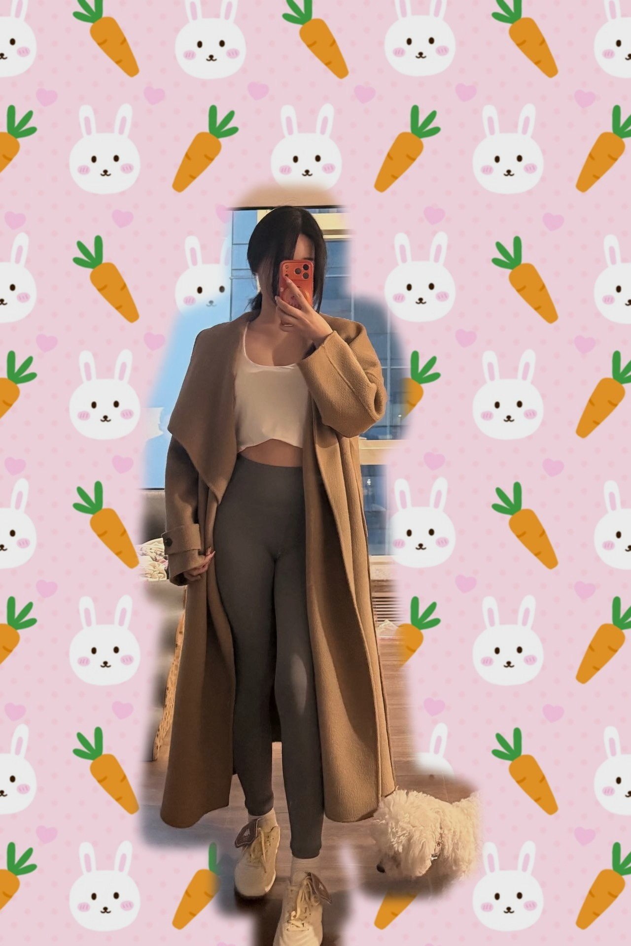 小蕙