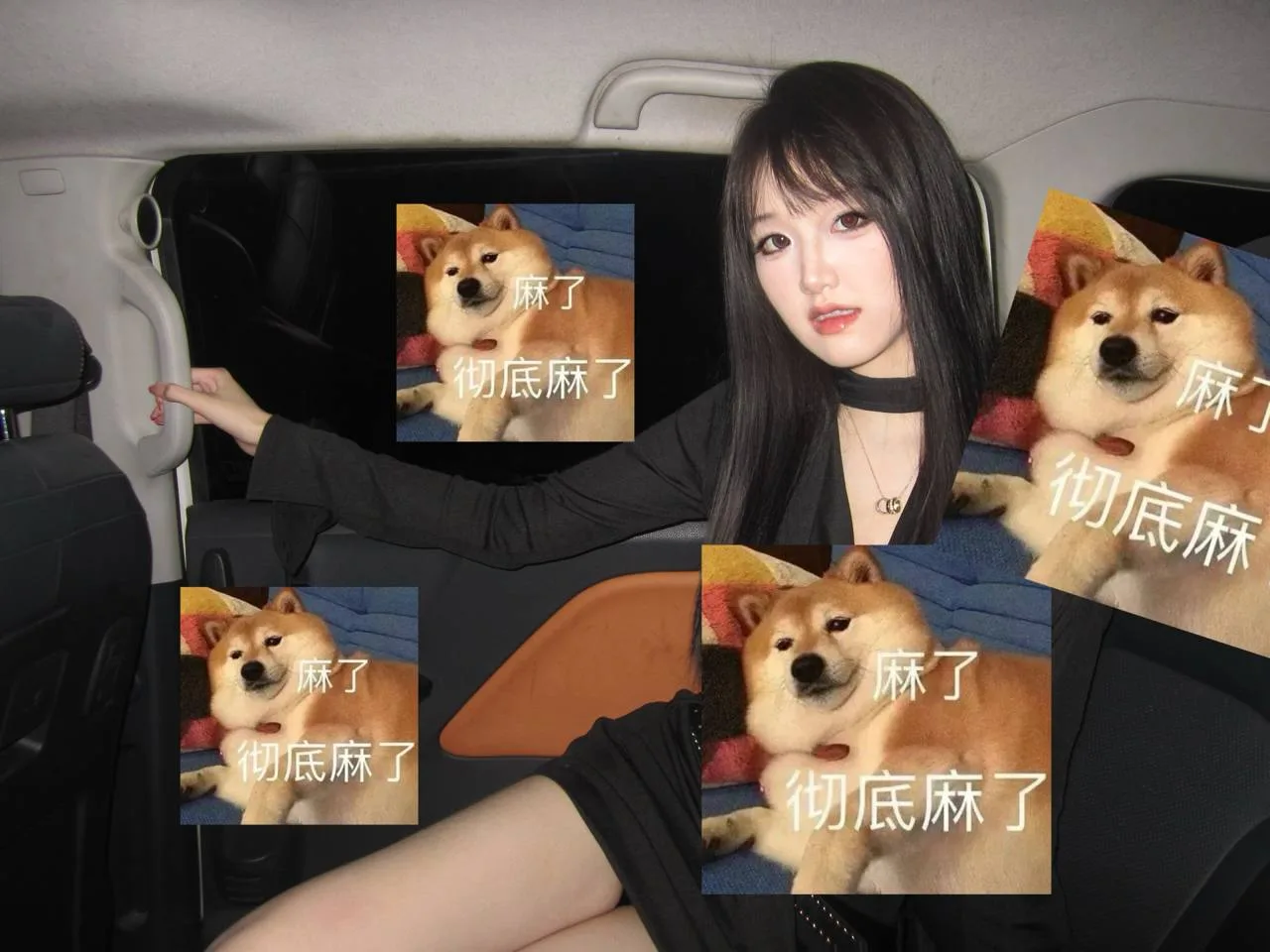 验证视频封面