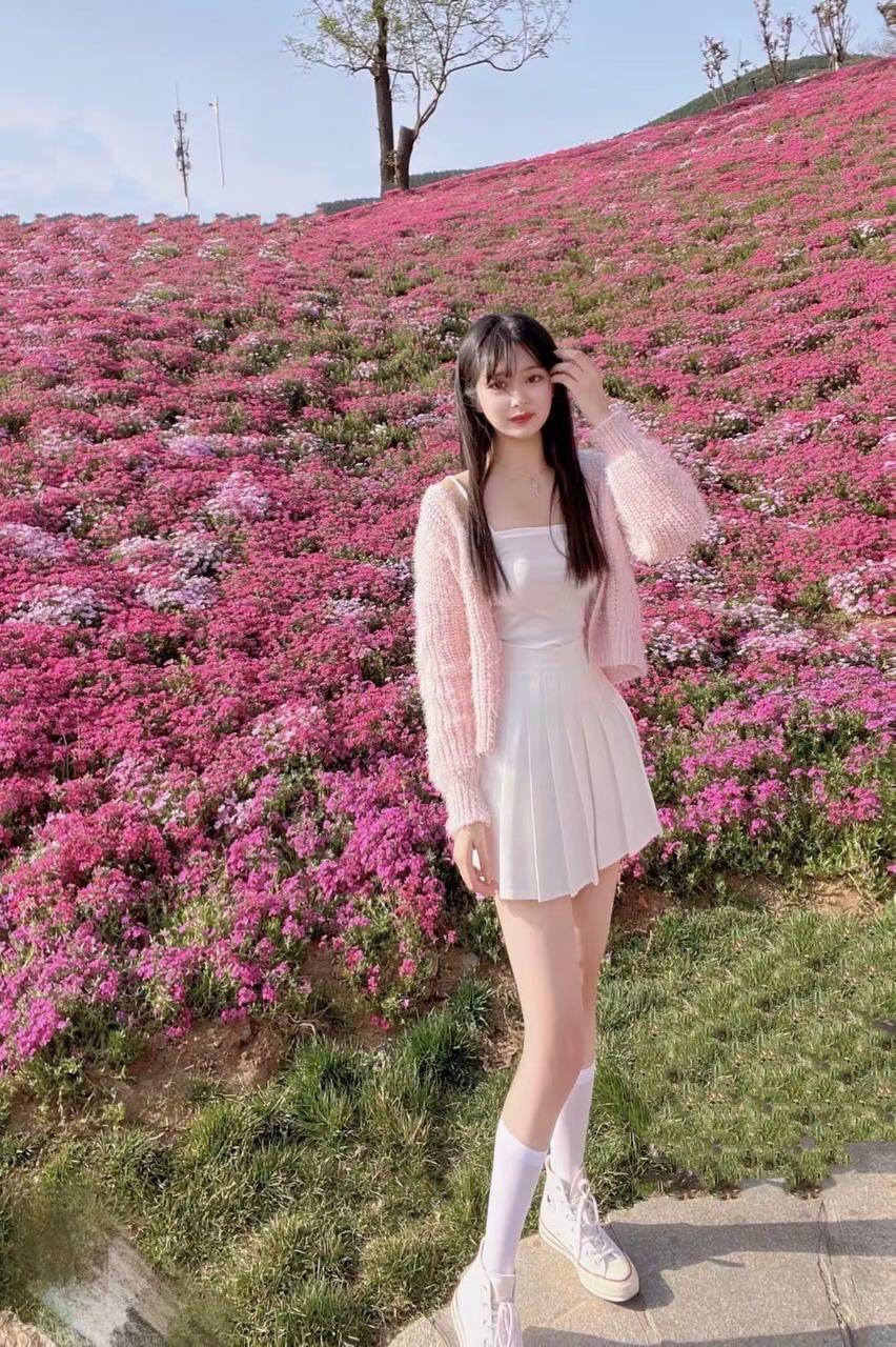 羊羊