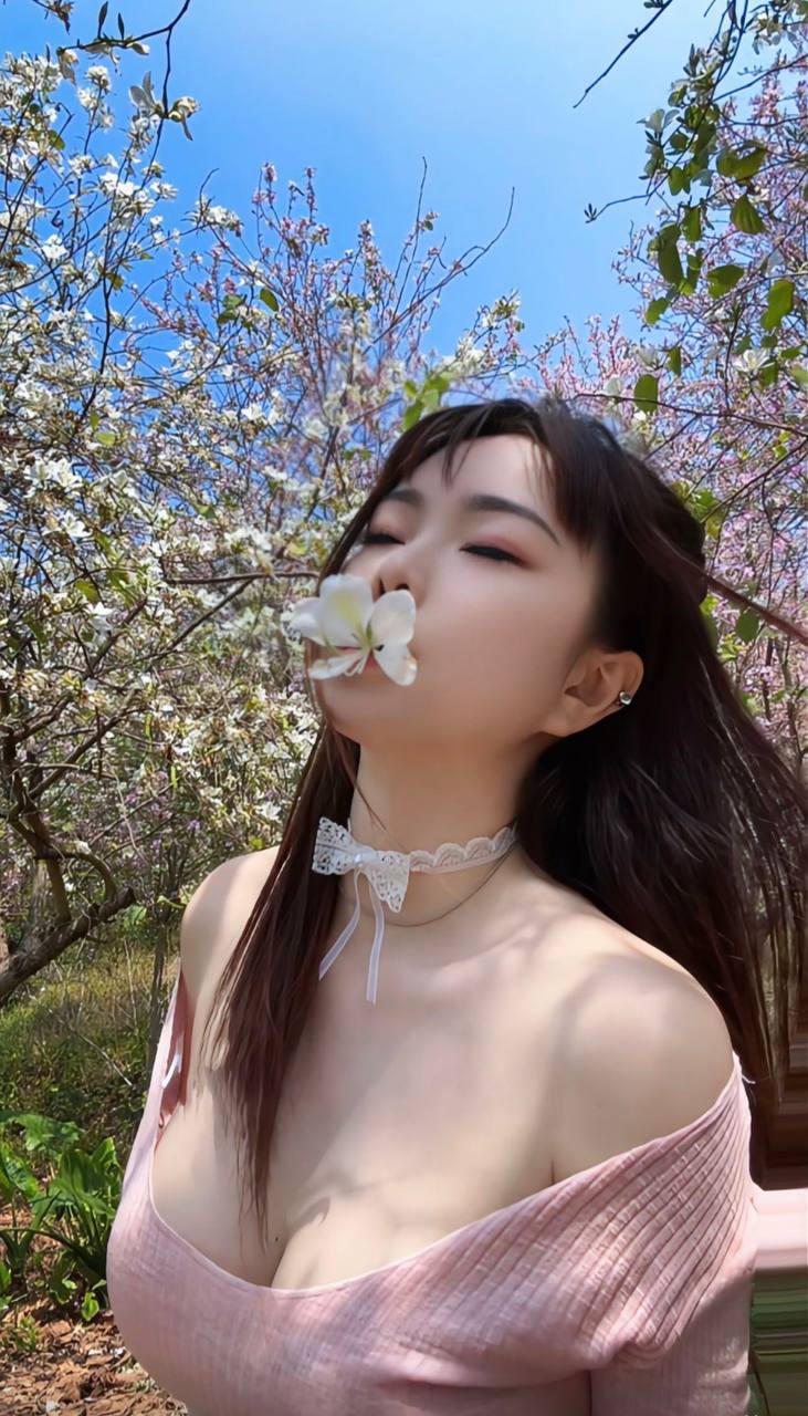 朴朴村长114