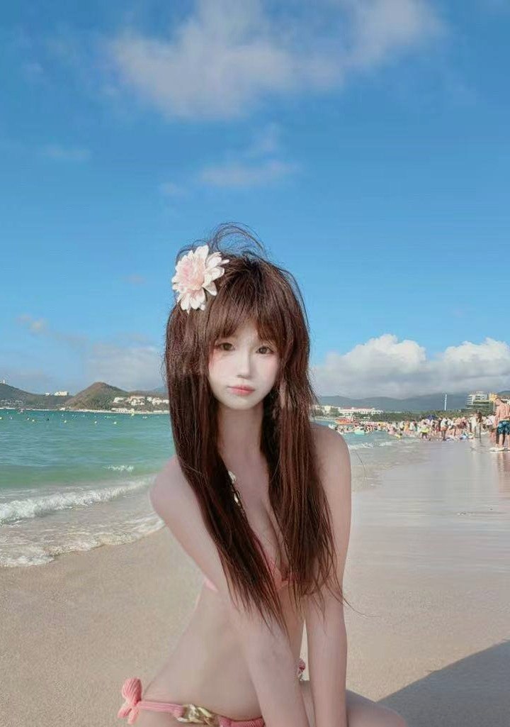 朴朴527