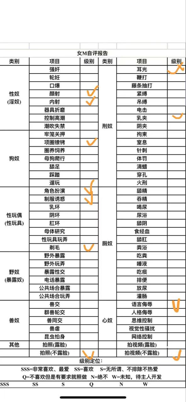 伴友 S45