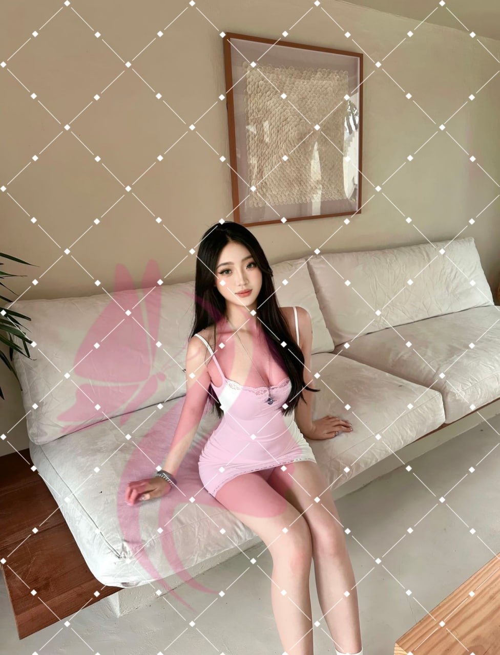 夏夏