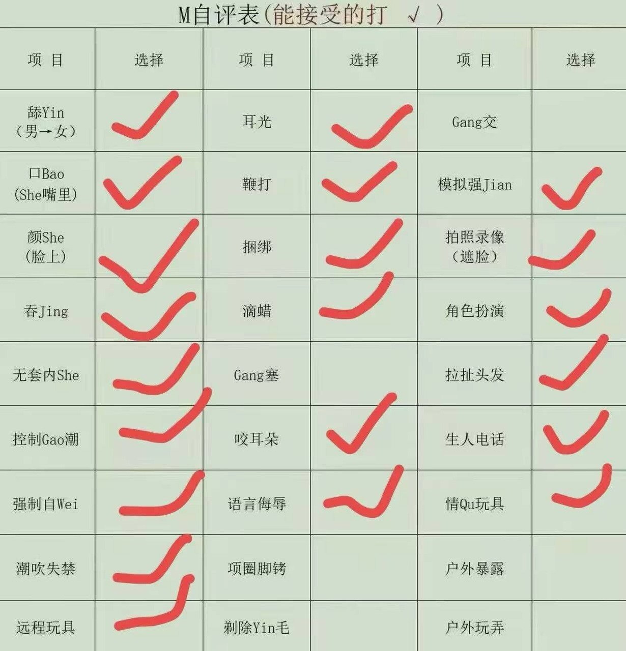 朴朴A008