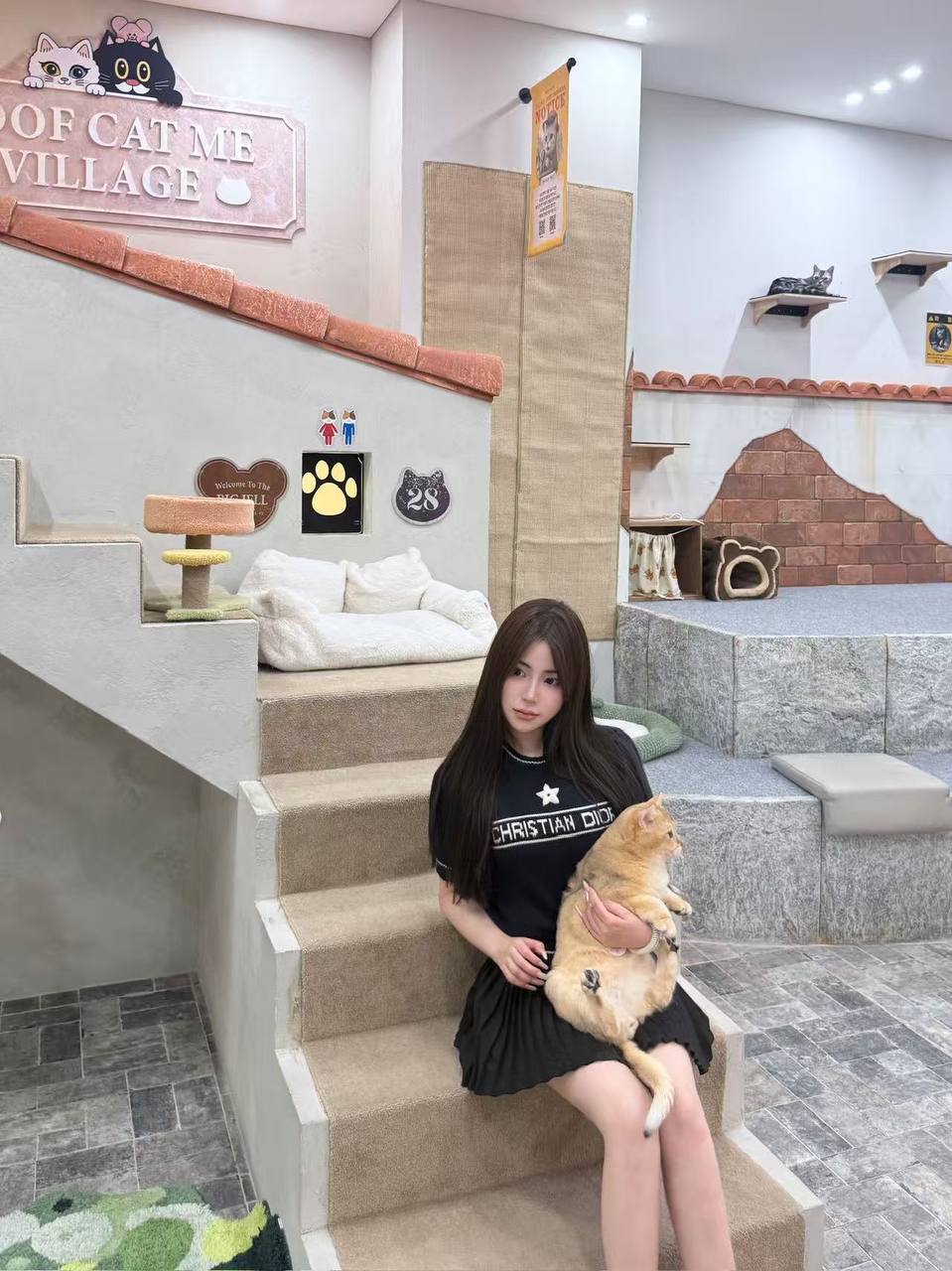 鹿鹿
