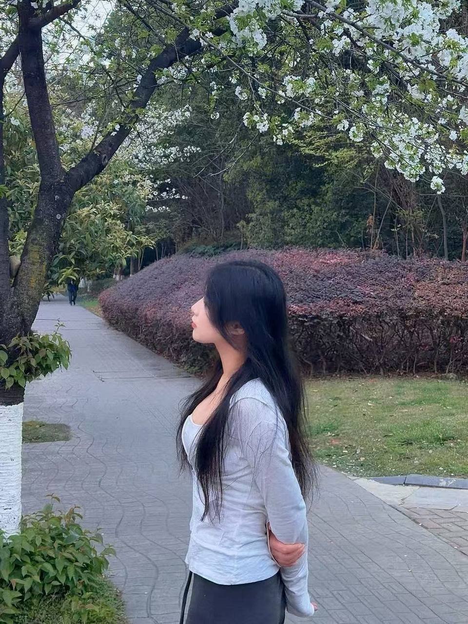 朴朴1351