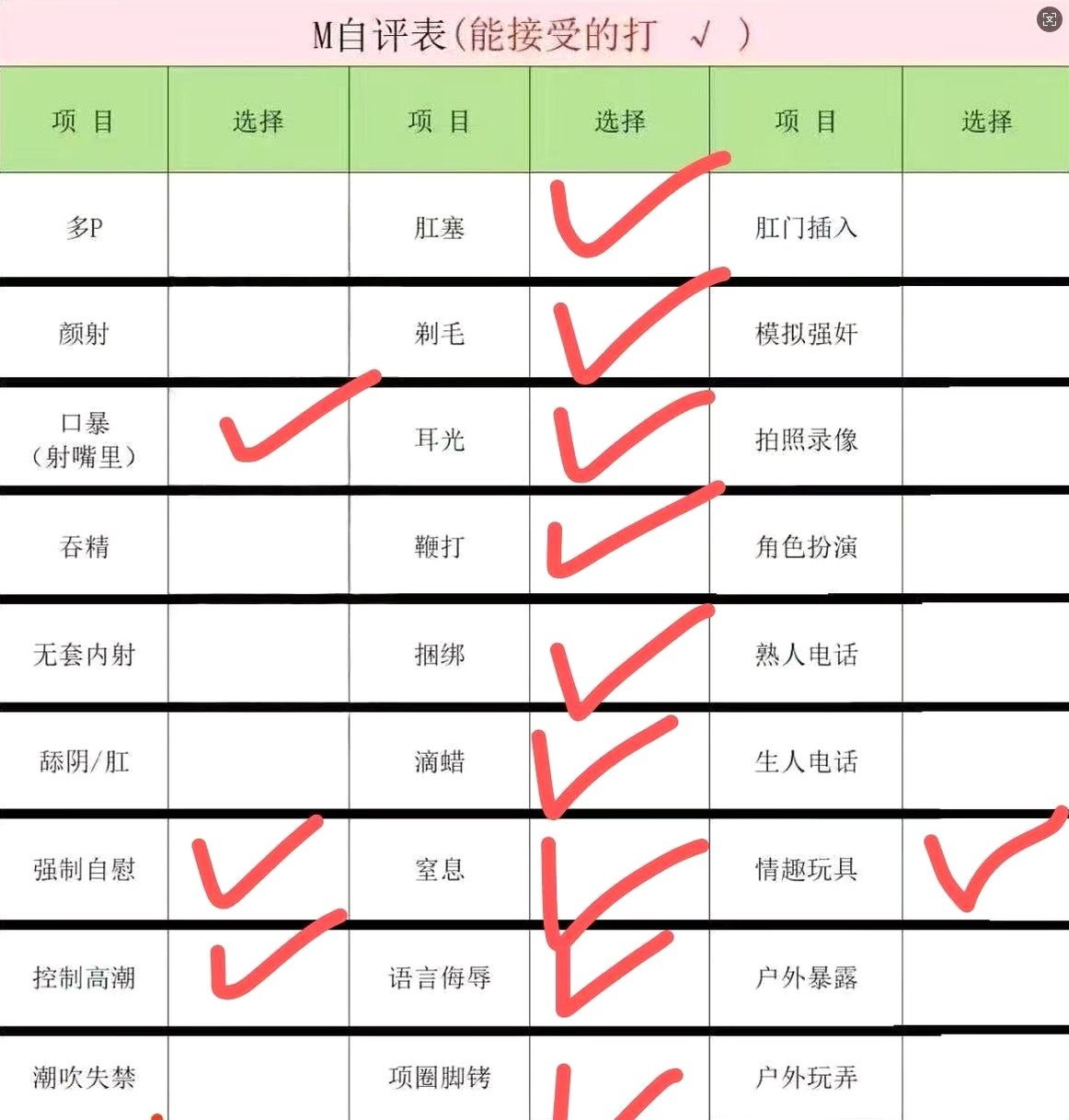 TY-Z1015